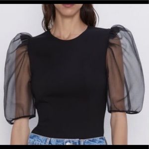 Zara Organza Puff Sleeve Top